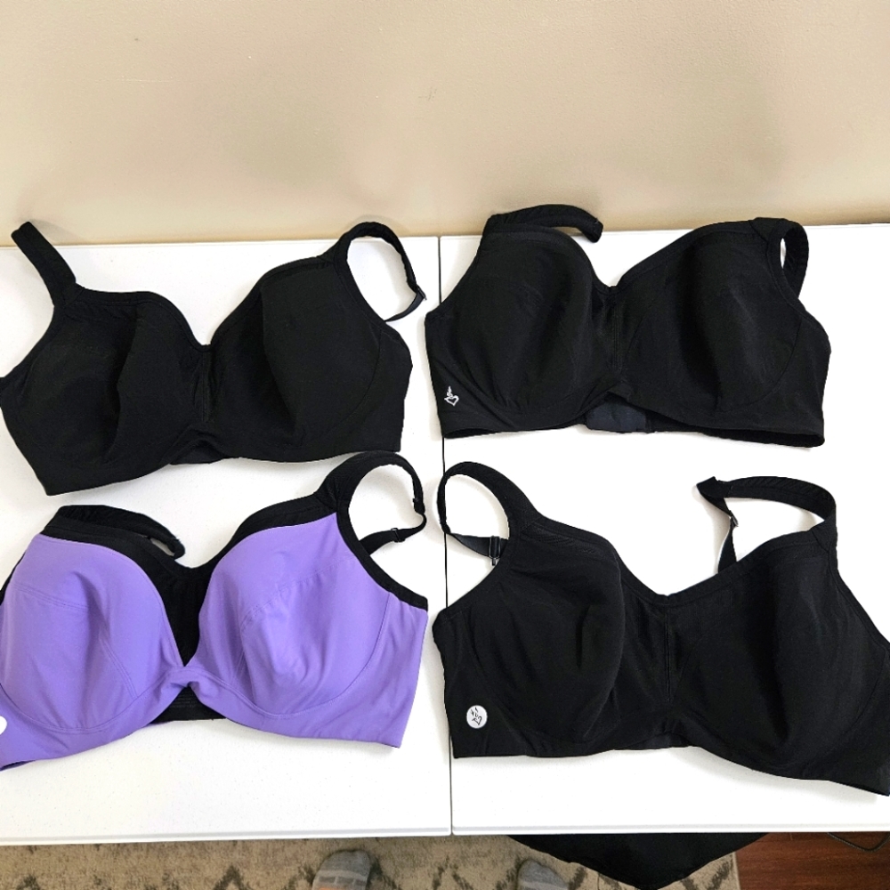Torrid Sports Bra